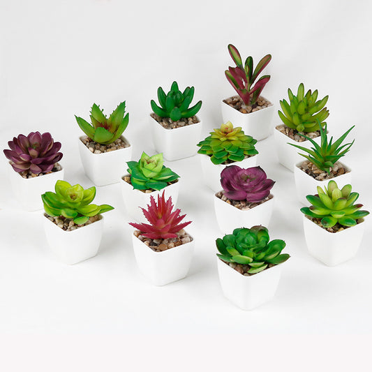 Artificial Succulent Plastic Plant Mini Potted Desktop Decoration