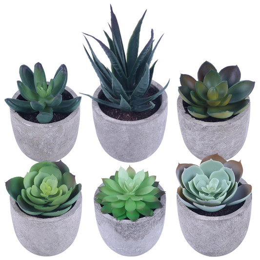 Simulation Of Succulent Potted Plants